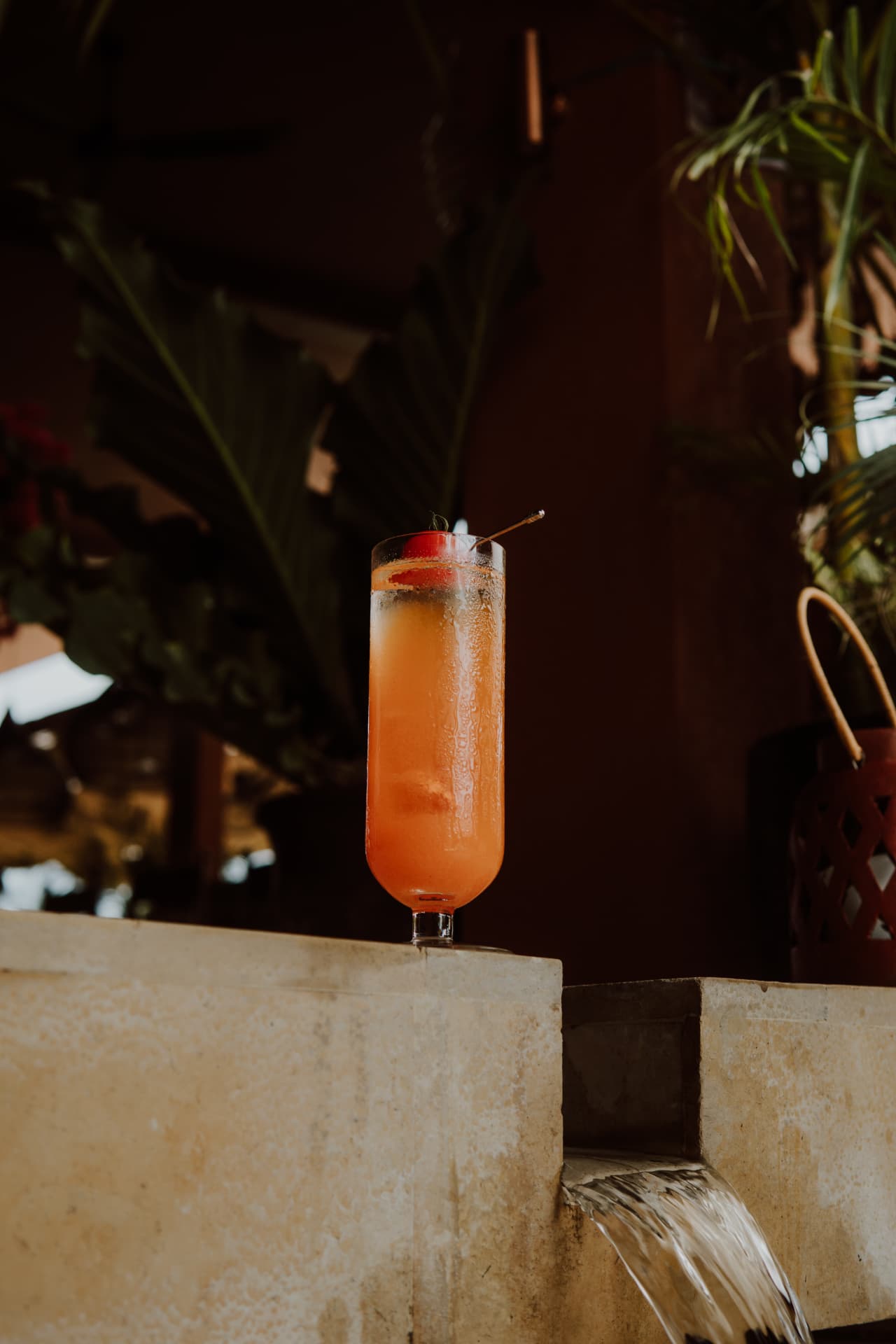 Orange cocktail beside the garden water feature at TAMAN